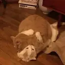 สติกเกอร์