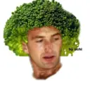Stika