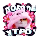 Կպչուն պիտակ