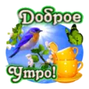 Կպչուն պիտակ