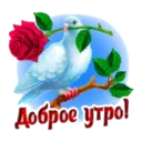 Կպչուն պիտակ