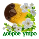 Կպչուն պիտակ