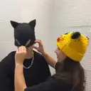 Стикер
