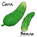 Стикер