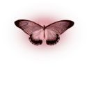 Çıkartma