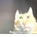 Çıkartma