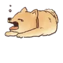 Стикер