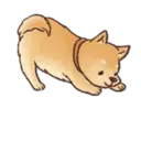 Стикер