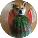 Стикер