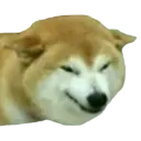 สติกเกอร์