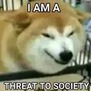 สติกเกอร์
