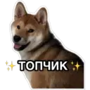 สติกเกอร์