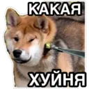 สติกเกอร์