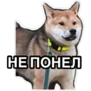 สติกเกอร์