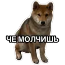 สติกเกอร์