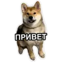 สติกเกอร์