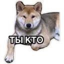 สติกเกอร์