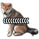สติกเกอร์