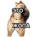 สติกเกอร์