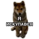 สติกเกอร์