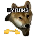 สติกเกอร์