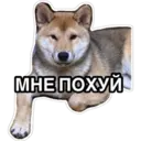สติกเกอร์