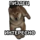 สติกเกอร์