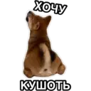 สติกเกอร์