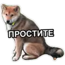 สติกเกอร์
