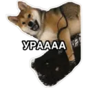 สติกเกอร์
