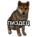 สติกเกอร์