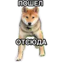 สติกเกอร์