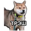 สติกเกอร์