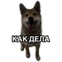 สติกเกอร์