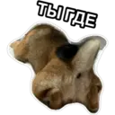 สติกเกอร์