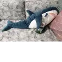 Límmiði