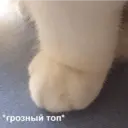 Stika