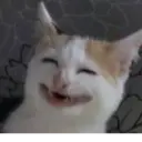 Stika