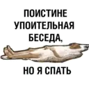 Samolepka