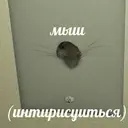 Samolepka