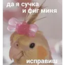 Samolepka