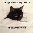 Samolepka