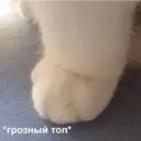 Samolepka