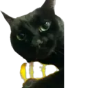 Стикер