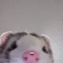Samolepka