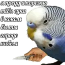 Կպչուն պիտակ