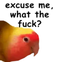 Կպչուն պիտակ