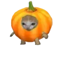 Adhesiu