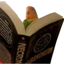 Կպչուն պիտակ