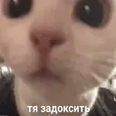 Samolepka